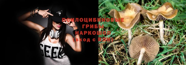 Альфа ПВП Горно-Алтайск