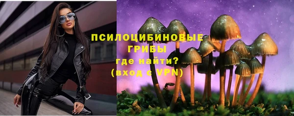 дживик Куйбышев