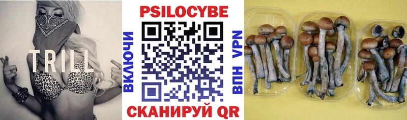 Галлюциногенные грибы мицелий hydra tor маркетплейс телеграм Малоярославец