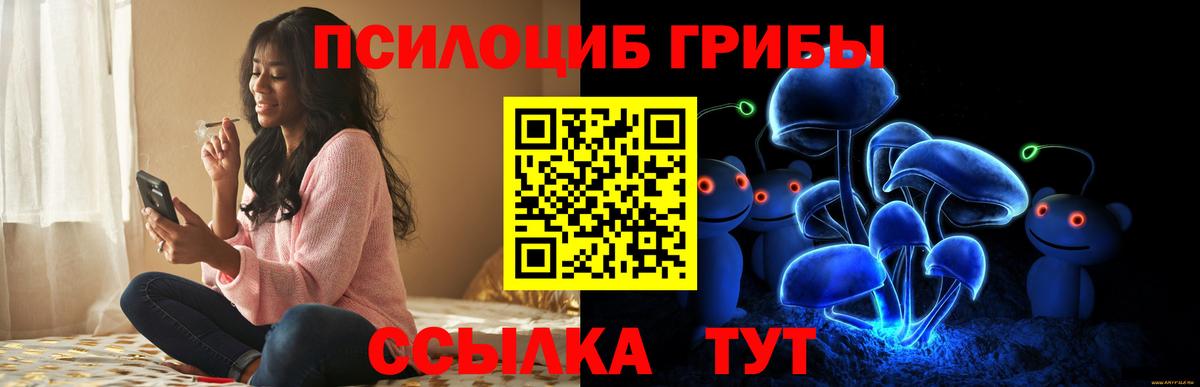 Псилоцибиновые грибы GOLDEN TEACHER Малоярославец